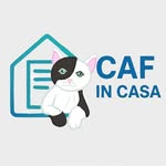 Logo Cafincasa